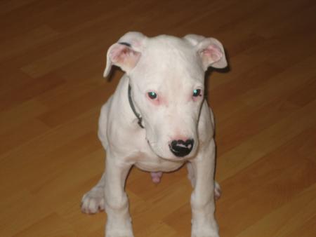 Dark � 3 mois, 9k 600g