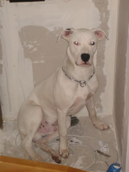 Et le voil� a 8 mois!